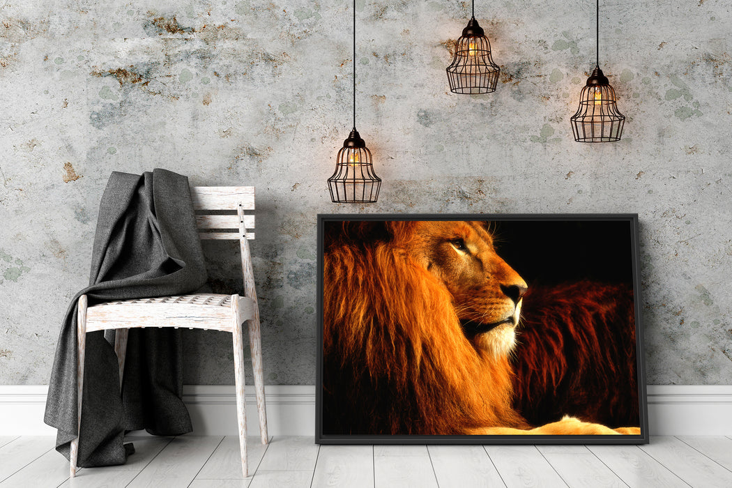 Majestäischer stolzer Löwe Schattenfugenrahmen Wohnzimmer