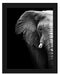 Elefant Porträ B&W Schattenfugenrahmen 38x30