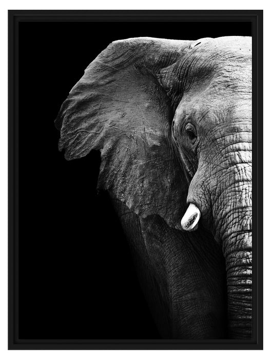 Elefant Porträ B&W Schattenfugenrahmen 80x60