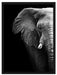 Elefant Porträ B&W Schattenfugenrahmen 80x60