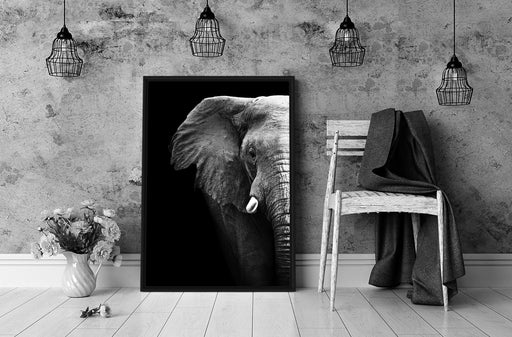 Elefant Porträ B&W Schattenfugenrahmen Wohnzimmer
