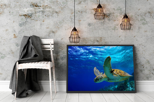 Schildkröte im Riff Schattenfugenrahmen Wohnzimmer