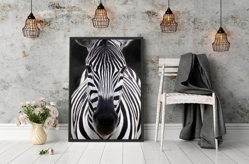 Zebra Porträ Schattenfugenrahmen Wohnzimmer