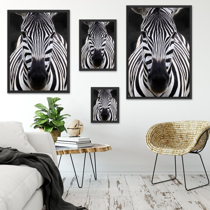 Zebra Porträ Schattenfugenrahmen Dekovorschlag
