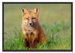 Kleiner Fuchs Schattenfugenrahmen 100x70
