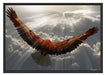 Adler über den Wolken Schattenfugenrahmen 100x70