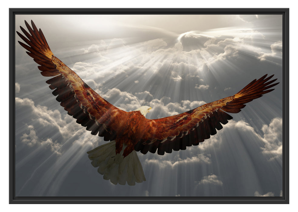 Pixxprint Adler über den Wolken, im Schwebe-Effekt Bilderrahmen
