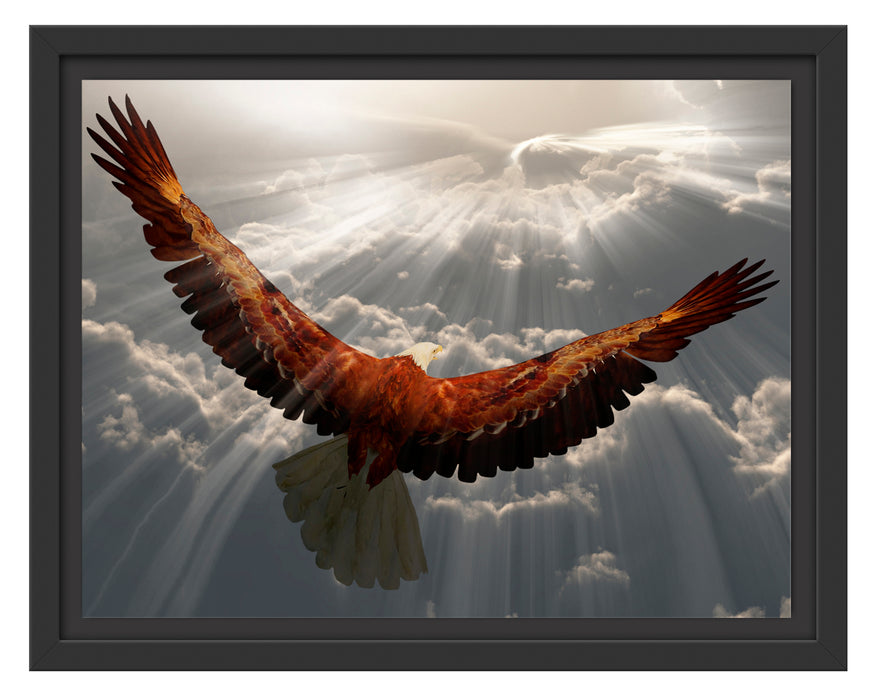 Adler über den Wolken Schattenfugenrahmen 38x30