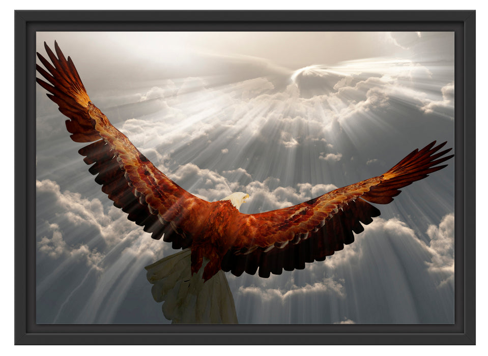 Adler über den Wolken Schattenfugenrahmen 55x40