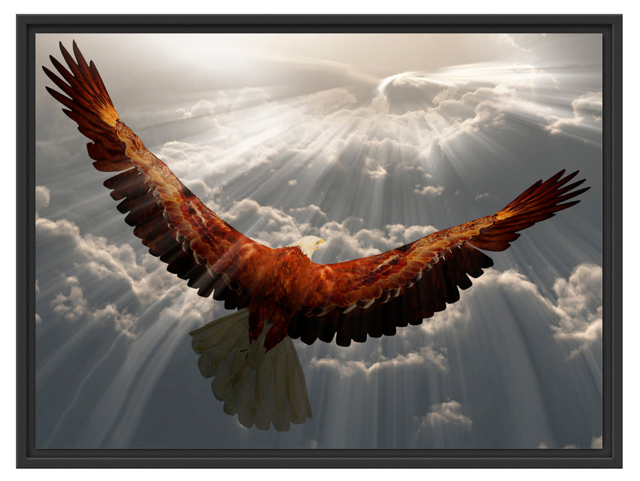 Adler über den Wolken Schattenfugenrahmen 80x60