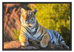 Stolzer Tiger Schattenfugenrahmen 100x70