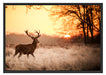 Hirsch im Sonnenuntergang Schattenfugenrahmen 100x70