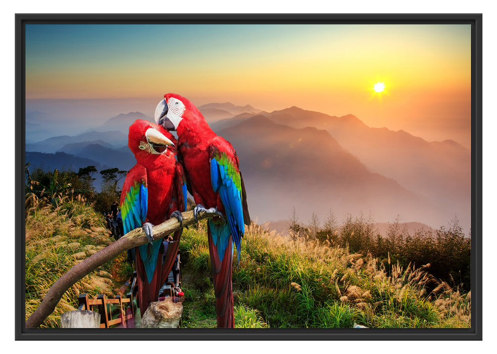 Pixxprint Papageien Pärchen, im Schwebe-Effekt Bilderrahmen
