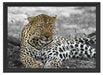 schöner Leopard liegt im Laub Schattenfugenrahmen 55x40