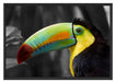schöner stolzer Tukan Schattenfugenrahmen 100x70