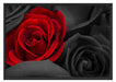romantische rote Rosen Schattenfugenrahmen 100x70