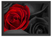 romantische rote Rosen Schattenfugenrahmen 55x40