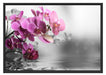 Orchideenblüten über Wasser Schattenfugenrahmen 100x70