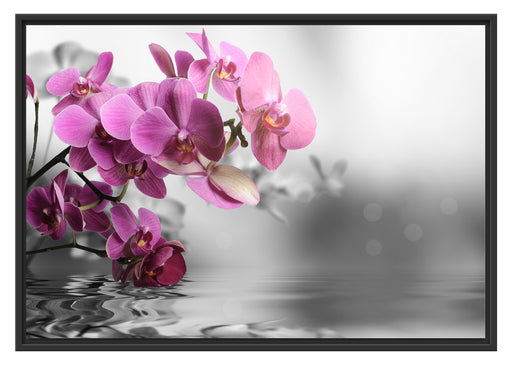 Orchideenblüten über Wasser Schattenfugenrahmen 100x70