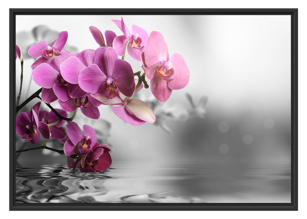 Pixxprint Orchideenblüten über Wasser, im Schwebe-Effekt Bilderrahmen