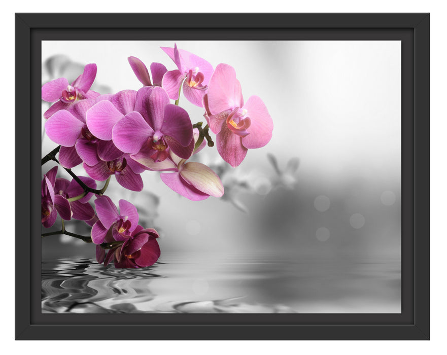Orchideenblüten über Wasser Schattenfugenrahmen 38x30