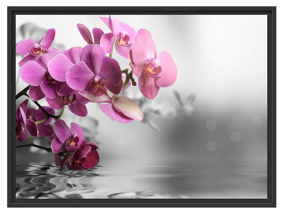 Orchideenblüten über Wasser Schattenfugenrahmen 80x60