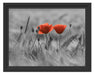 Mohnblumen auf einem Feld Schattenfugenrahmen 38x30