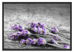 liegender Lavendel auf Stamm Schattenfugenrahmen 100x70