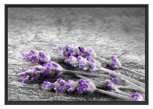 liegender Lavendel auf Stamm Schattenfugenrahmen 100x70