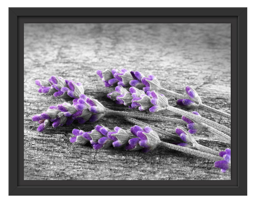 liegender Lavendel auf Stamm Schattenfugenrahmen 38x30