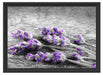 liegender Lavendel auf Stamm Schattenfugenrahmen 55x40