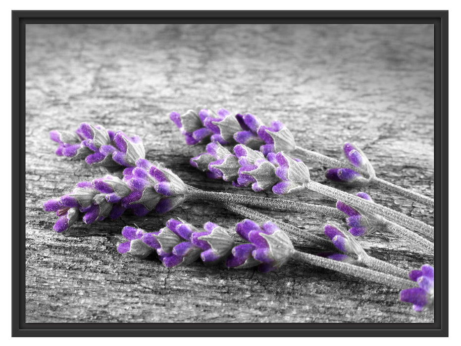 liegender Lavendel auf Stamm Schattenfugenrahmen 80x60