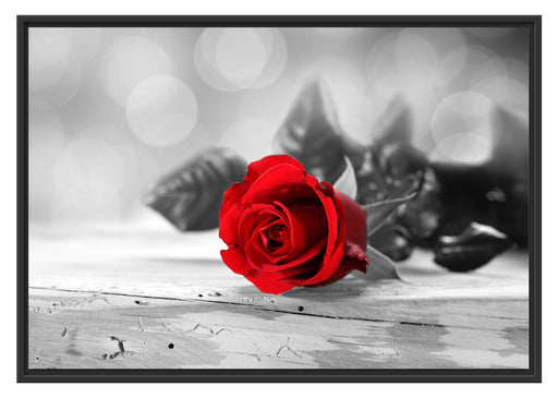Rote Rose auf Holztisch Schattenfugenrahmen 100x70
