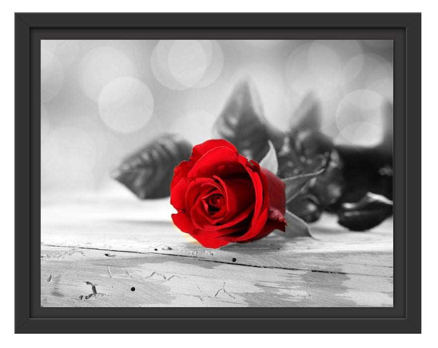 Rote Rose auf Holztisch Schattenfugenrahmen 38x30