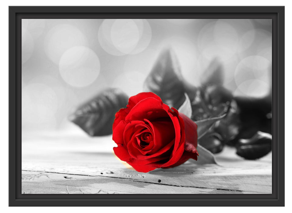 Rote Rose auf Holztisch Schattenfugenrahmen 55x40