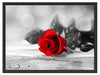 Rote Rose auf Holztisch Schattenfugenrahmen 80x60