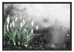 Frühlings Schneeglöckchen Schattenfugenrahmen 100x70
