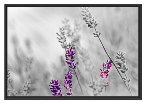 schöner Lavendel Schattenfugenrahmen 100x70