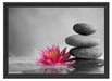 Seerosenblüte vor Zen Steinen Schattenfugenrahmen 55x40