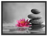 Seerosenblüte vor Zen Steinen Schattenfugenrahmen 80x60