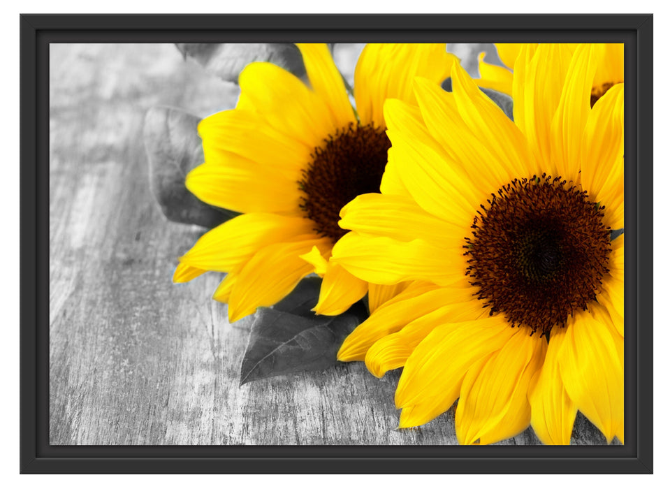 schöne Sonnenblumen auf Holztisch Schattenfugenrahmen 55x40
