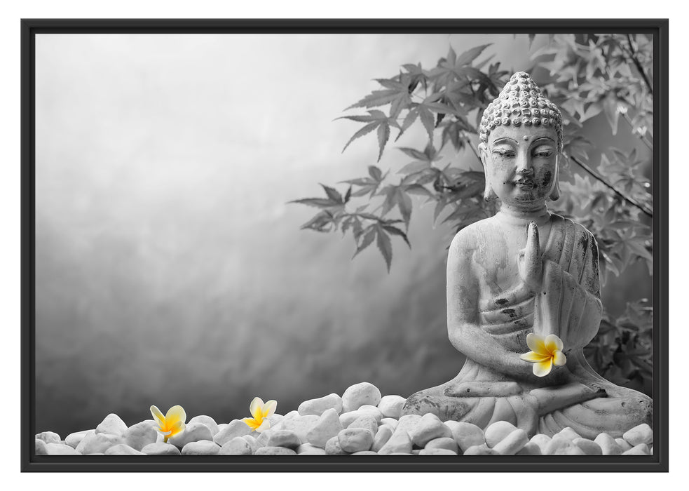 Pixxprint Buddha mit Monoi Blüte in der Hand, im Schwebe-Effekt Bilderrahmen