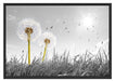 Pusteblumen auf Wiese Schattenfugenrahmen 100x70