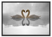 verliebte Schwäne auf See Schattenfugenrahmen 100x70