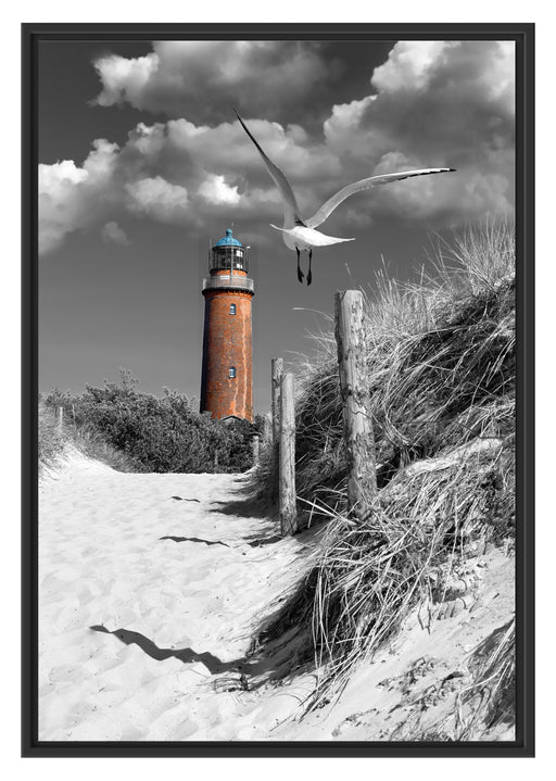 Leuchtturm mit Möwe an Strandweg Schattenfugenrahmen 100x70