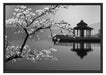 Kirschbaum an See B&W Schattenfugenrahmen 100x70