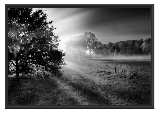 schöne Lichtung im Wald Schattenfugenrahmen 100x70