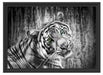 schöner neugieriger Tiger Schattenfugenrahmen 55x40