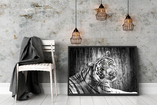 schöner neugieriger Tiger Schattenfugenrahmen Wohnzimmer