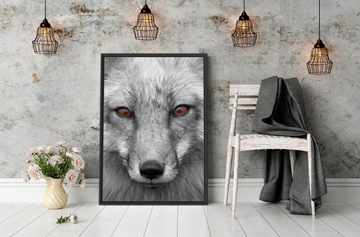 wunderschöner Fuchs im Portrait Schattenfugenrahmen Wohnzimmer